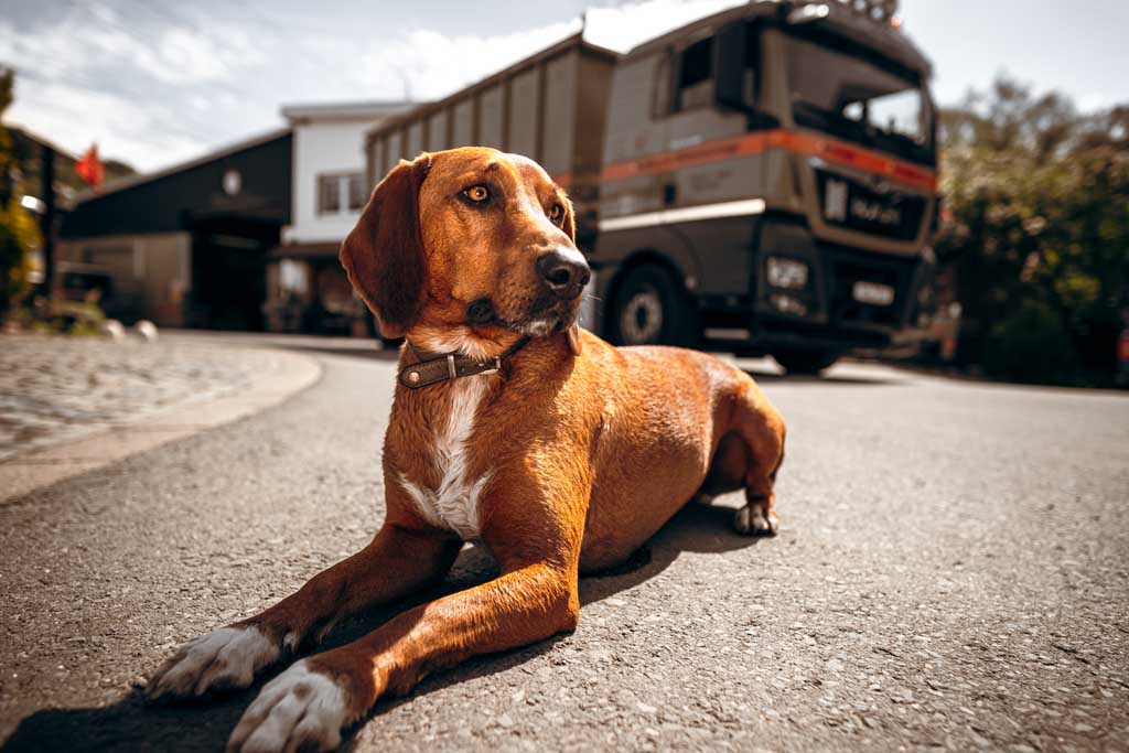 Bruno Kontakt Ueber Uns Umzuege Spezial Transporte Schlotmann Maerkischer Kreis Neuenrade Werdohl Plettenberg Senioren Einlagerung
